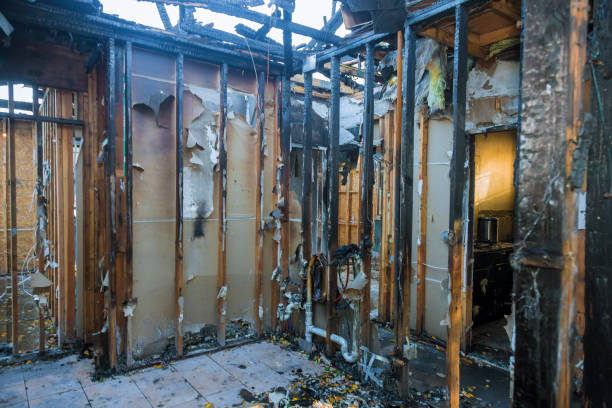 Professional Fire Damage Repair technician working in Nellieburg, MS